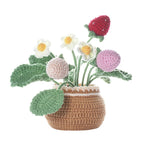 The "Everglow" Crochet Collection: Premium DIY Amigurumi Kits
